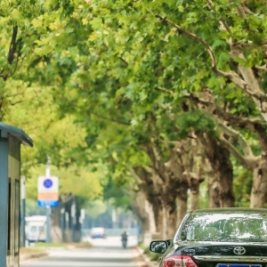 �߽��ճ�����������