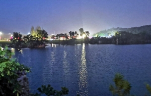 ����̫�����(zh��n)�S�� ���������c��