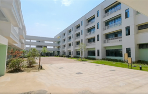 �ǖ|�W(xu��)У У�@�h(hu��n)����ô�ӣ�