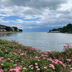 �W(w��ng)�Ѵ������ģ����� �����ͽ����