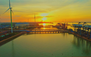 ������M(j��n)������Ұ ���g����ɽ������