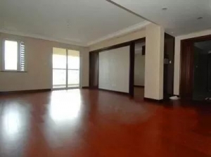 ��ʲô���������ҵ��i��ɫ�ذ徫�b��... ...