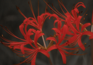 �˰��������_��Ҋ�~