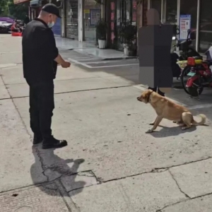 ����ع⣡�@Щ�О�Ӱ����ݹ���