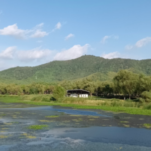 ���Tɢ�� ���{(l��n)������c�ݵ�