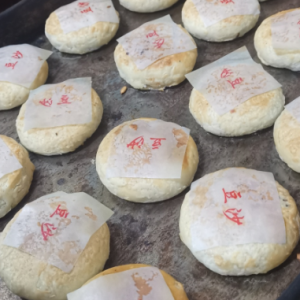 �W(w��ng)�ѷ��� �L(zh��ng)�����