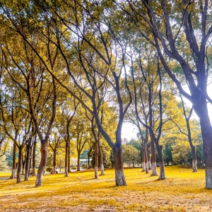 APP�D���������A�����