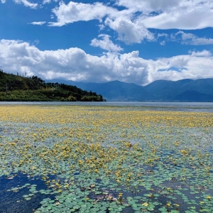 �W(w��ng)�����ģ�ȥ���������