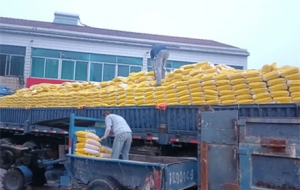 ���С���塰�Z�}���żZ�ˣ�