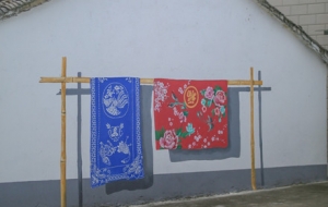 ƽ���o����l�� �������Đ���