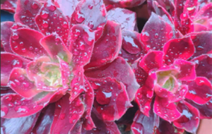 С��M ��B��������