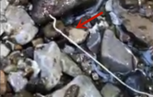 ���{�����ǡ������x��