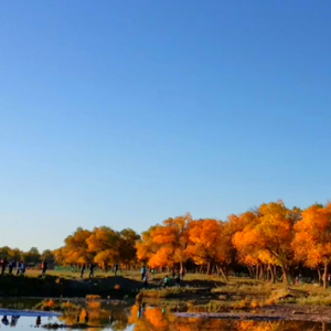 ���ģ��~���{��ĺ�����