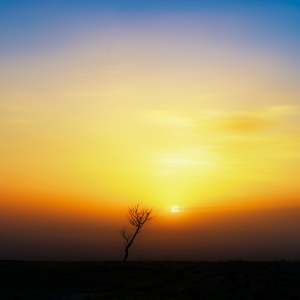 ���ڌ����������⿴�@��