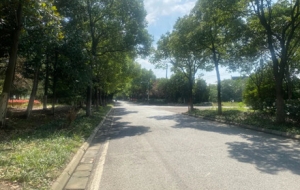 ע�⣡10��8������@·�η��]ʩ��