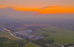 �����ճ����q�q���� ����ĺĺ