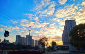 ץס����β�� ȥ��һ������糿