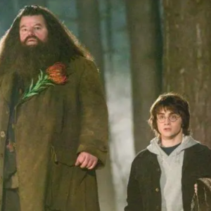 ��Ϣ��������ȥ����