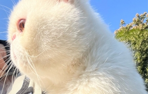 ؈������� �Ҹ��֜�ů