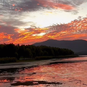 �����յĻ���Ƴ�ϼ