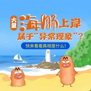 �������c�ϰ����ڡ������F�󡱣������ǡ���