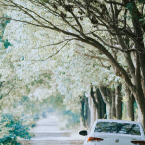 ��Ʒ���]����᪒߽�