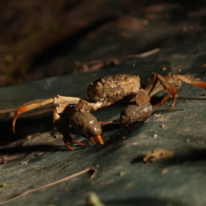 ����Ϣ����ꎱ����з��m������