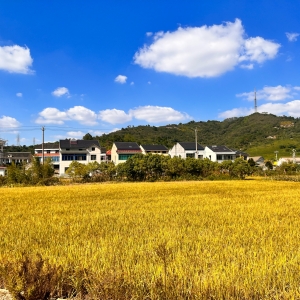 �{����� ��ߚ�ˬ