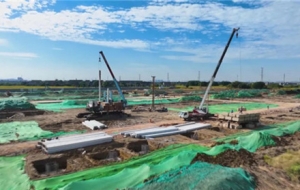 ����õؼ��_����