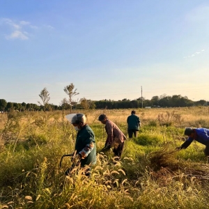 �زݳ���������@���_չ��������Є�