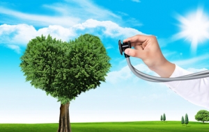 ��ꎸ�У�W����ҕ�ʡ��w�|������r������