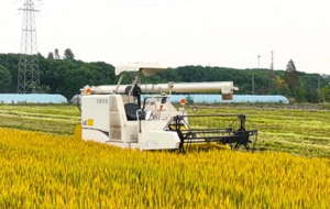 ���o���{񂡱�_�M���