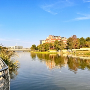 APP���x�������N����ϼ