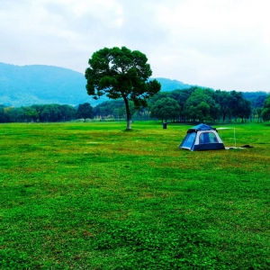 ��ɽ���S�ģ����սY�����