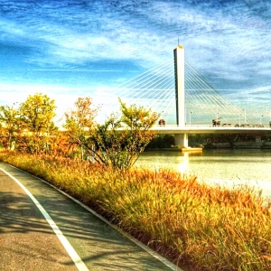 �zӰ����Ʒ���]���\�Ӟ���ɫ