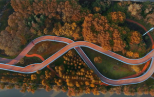 ���Ľ�� ��ɫ����