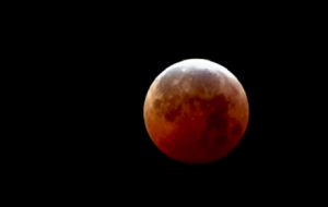 ����ӛ� �e�^�����t�µĿ��@��