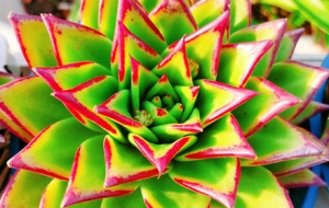 �Ͷ�������ꖹ� ����ζ�����