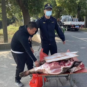 ��������u�@�N�i����ǧ�f�e�I��