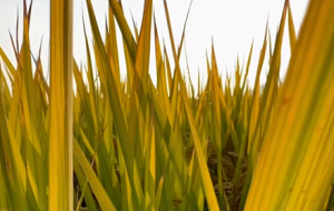 ������@���� ���M(j��n)����