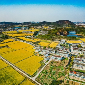 �W����Ʒ����ꎰ�������Դ