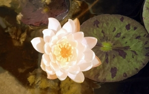 ˯ɏ�^��ӛ䛣��������G����