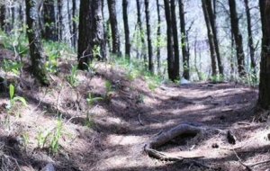 ȫ������ֻ��10�K�X���I����Ʊ߀��......