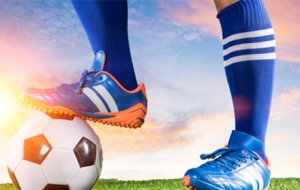 �@�����籭�����D��2-1�����T��