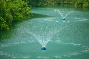 �����|��ĺ������˂���Ȫ��ɶ��r��