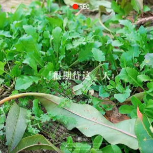 ��ȥ���� Ըһ��������s����