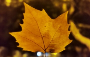 ��Ҋ��S�Ľ��S��ʵė��~