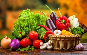 ���ʳƷ�N���S���C���Ĳ��M�ȣ�