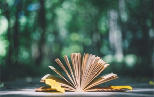 ���ˈD���^���н���ĵط������􂀵�ַ�᣿