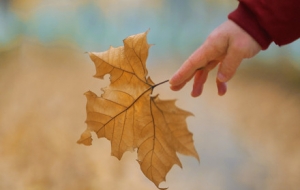 ���մ�ѩ �c����Ҋ�g�c����Ҋ��